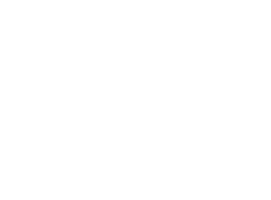 Flair white logo
